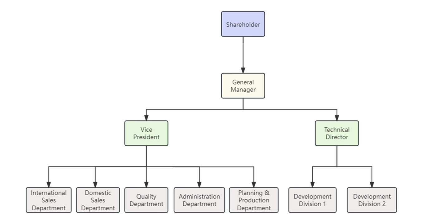 Company Structure